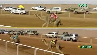 الشوط 3 (سمهرم) لـ حمد محمد الوهيبي , مهرجان الملك عبد العزيز الثلاثاء 2018/1/30 رماح ثنايا 8 كم
