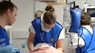 SimMan 3G in Switzerland