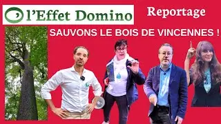 Sauvons le Bois de Vincennes !