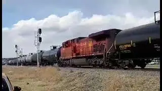CP 8738-8851-9810-8505