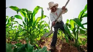 CONSUMO CONSCIENTE DE ALIMENTOS REDUCIR&Aacute; EL IMPACTO AL PLANETA