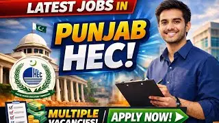 Punjab HEC Latest Jobs 2026 | Higher Education Commission Punjab Jobs | Apply Now 