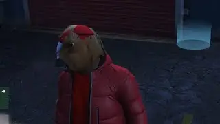 Rockstar STOLE my Car
