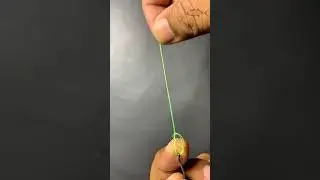 Fishing Knot Skils 2025 #gtknot #fishingknot #fishinghooks #fishingtips #carpfishing #mancing #fish