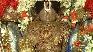 திருக்கோயிலூர் உலகளந்த பெருமாள் கோவில் தரிசனம் | ஆலய வழிபாடு | Sun TV