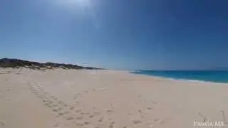 Great Sand Cay Turtle Tracks