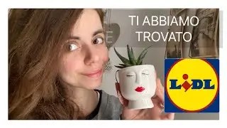 LIDL: finalmente l’abbiamo trovata!! Svuotiamo la spesa insieme!
