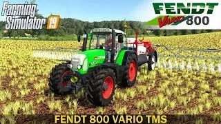 Farming Simulator 19 FENDT 800 VARIO TMS TRACTOR
