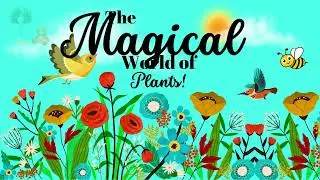 Imaginate 1111 Kids & Ifeanyi C. Oshun: The Magical World of Plants!