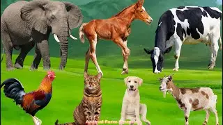 Cute Farm Animals: Rabbit, Pig, Duck, Buffalo, Dog, Sheep, Goat, Cow, Chicken &ndash; Animal Sounds