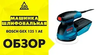 Обзор Машинка шлифовальная орбитальная BOSCH GEX 125 1 AE