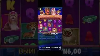 любимый дог #slot #games #casino