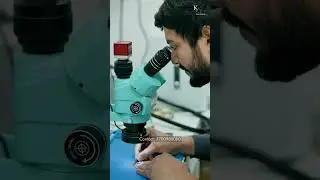 Fix Display Lines, Green/White Screen on Any Phone | Genuine & Affordable Repair for All Models
