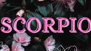 SCORPIO 💗 THEY TOLD THEIR FAMILY YOU&rsquo;RE THE ONE! YOUR FACE,BODY, & CLASS DRIVES THEM CRAZY