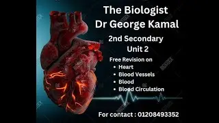 Revision on Unit 2 