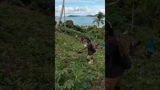 Snake Encounter At The Farm🐍🇫🇯
