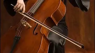 Learning The Cello