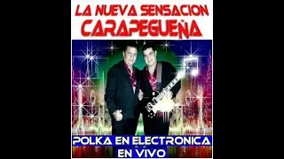 EN VIVO LA NUEVA SENSACION CARAPEGUEÑA