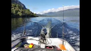 Underwater Action: Catching Brown Trout in New Zealand