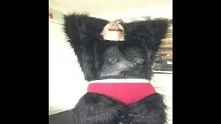Human to Gorilla TF