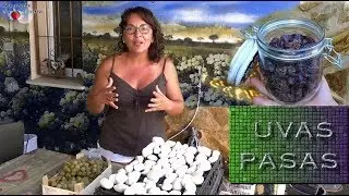 Uvas Pasas | C&oacute;mo Secar Uvas F&aacute;cil | How to Dry Grapes
