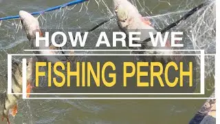 HOW ARE WE FISHING PERCH // FISHING IN FINLAND // PINOY FISHING