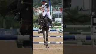 Hipismo saltos - competi&ccedil;&atilde;o #hipismo #saltoshipicos #showjumping #cavalosminhapaixao