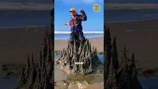 Keseruan Main Pasir di Pantai 🌊
