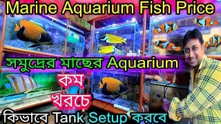 Marine Aquarium Fish Price | Marine Aquarium Tank Setup | Aquarium Fish Price Update | Clown Fish