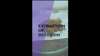 Extraction of berberine from Berberis aristata