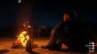 Relaxing Campfire sounds in wilderness (RDR2 Ambience)