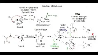 Carbenes: Reactions of Carbenes: Identifying Singlet or Triplet State