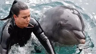 Kolohe and Dottie Training Session - Dolphin Point at SeaWorld San Diego - August 24, 2023