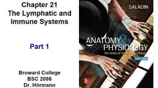(BC BSC 2086) Chapter 21 The Lymphatic and Immune Systems Part 1