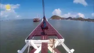 Seamore |The Boat