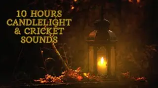 10 Hours Candlelight & Cricket Sounds | Deep Sleep, Study White Noise, Relaxing Night Ambience #asmr