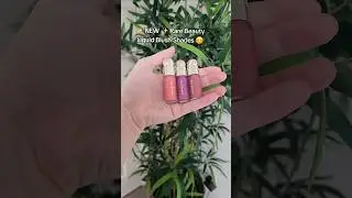 NEW Rare Beauty Mini Soft Pinch Liquid Blush Shades