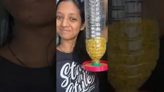 Easy bird feeder DIY at home