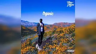 Casey Veggies – The Ceiling (Clean Version)