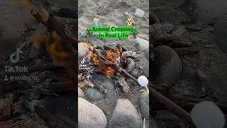 Animal Crossing in Real Life!?!? #japan #japanese #funny #bbq  #memes #vlog #beach #animalcrosssing