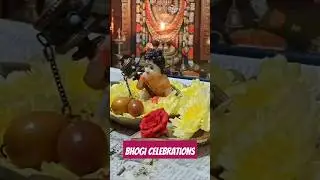 Bhogi Celebrations | Harshill Madhav | #HarshillsWorld #bhogi #sankranthi #celebration #shorts