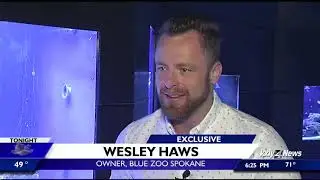 An exclusive first look inside Blue Zoo interactive aquarium in NorthTown Mall