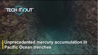 Unprecedented mercury accumulation in Pacific Ocean trenches