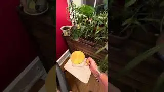 Retro Square Glass Pitcher has so many uses.