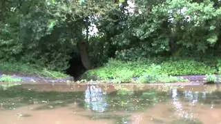 UK canal boat holidays on English canals - Overflow Weir on Shropshire Union Canal
