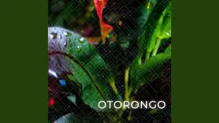 Otorongo