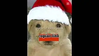 porfa te lo agradecer&iacute;a si lo haces lo que gaces