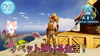 【ARK: Survival Ascended】ASA初見プレイ　ペットのいる生活！　No.11　PC版