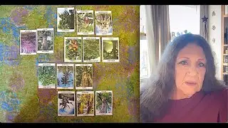 Will a Health Care Solution Get Passed by End of the Year? #channeling #oraclecards #currentevents