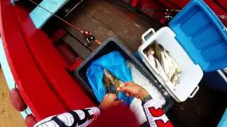 braamspunt